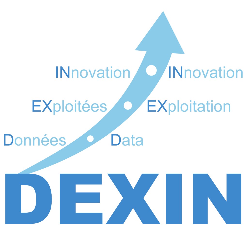 DEXIN Logo_Blanc